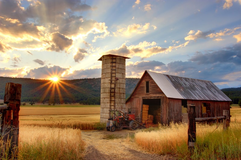 Sunset over farm fields